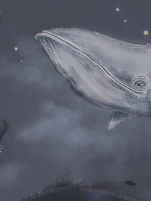 Whales in the sky