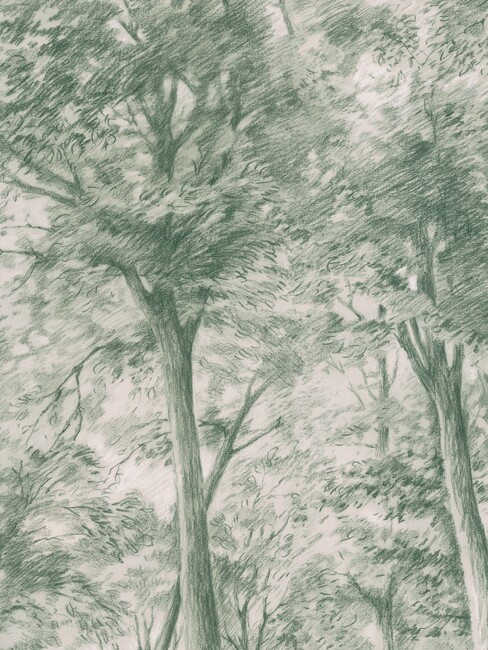 Sketch of Trees