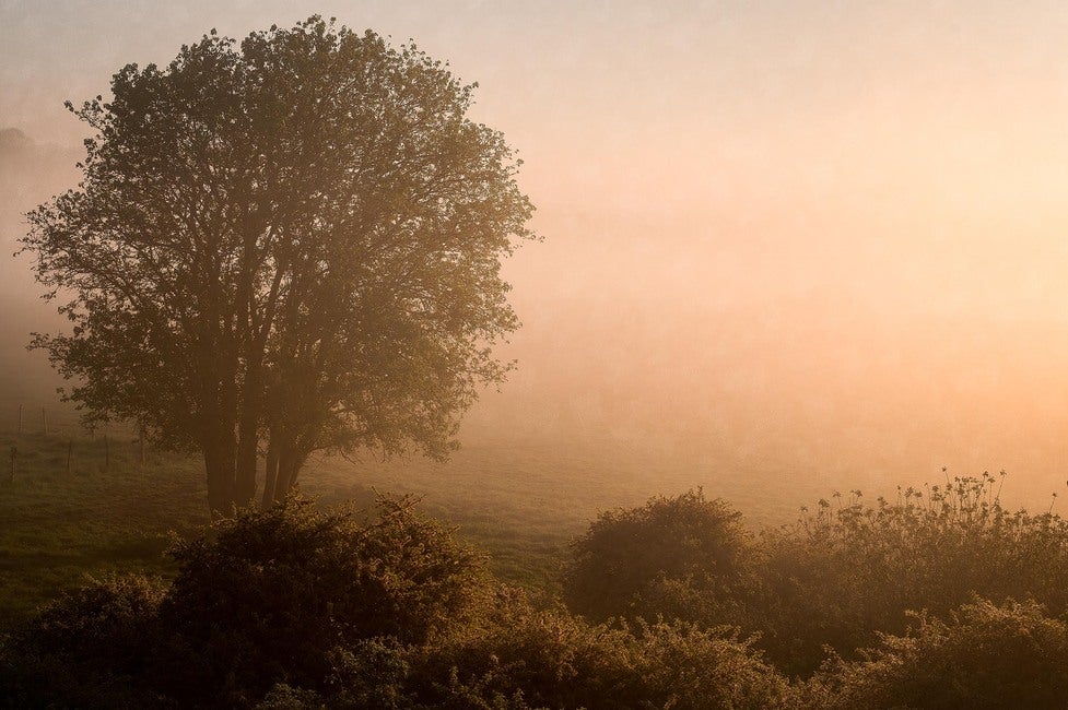 Marie Mattsson Kultmarken