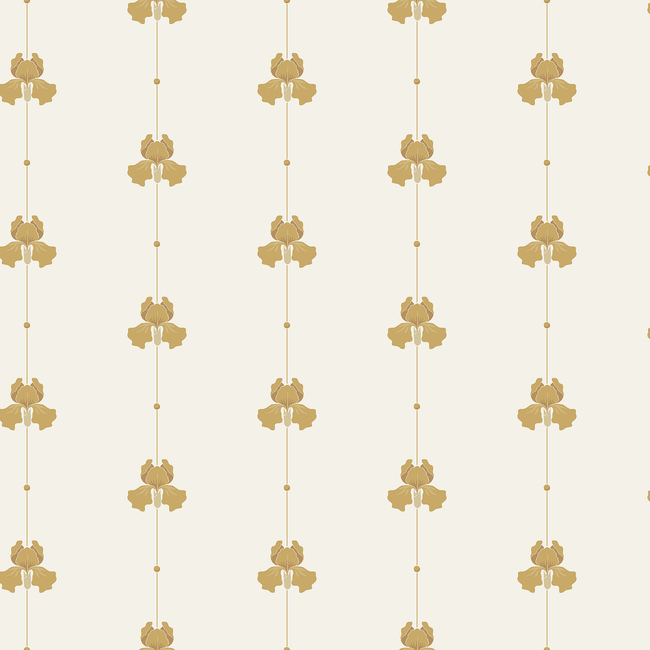 Gotain Sweet Pea Mustard