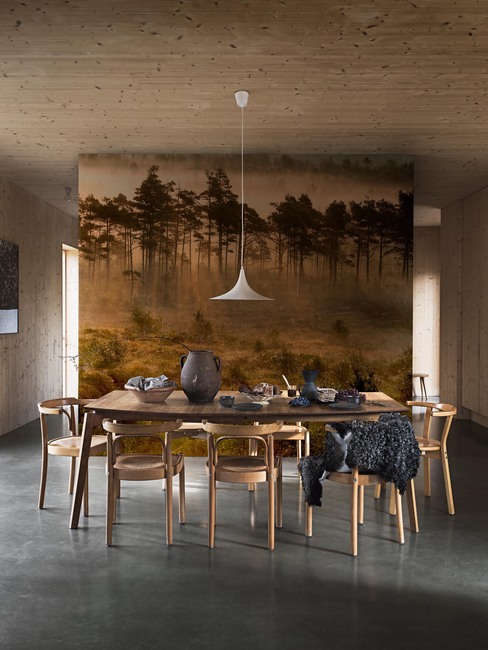 Marie Mattsson Dimslöjor