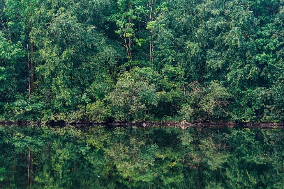 Marie Mattsson Sommarreflektion