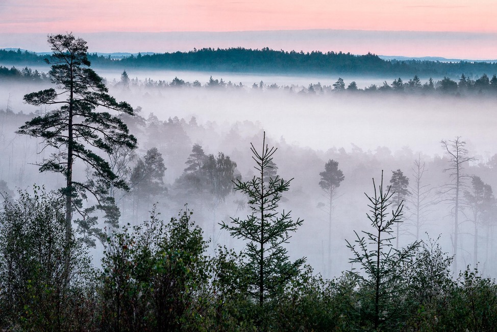 Marie Mattsson Blå Timmen