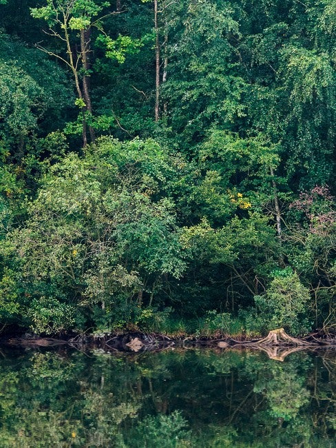 Marie Mattsson Sommarreflektion