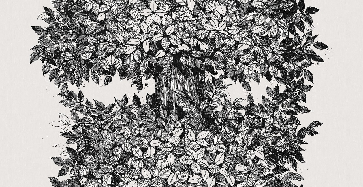 Viola Gråsten Hassel